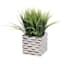 Grass Plant with Silver Wave Planter, 10"