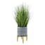 Grass Plant with Cement Planter, 28"