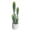 Cactus with White Planter, 18"