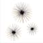 3-Piece Black with Gold Tip Urchin Wall Art Set