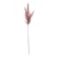 Dark Pink Pampas Grass Stem, 32"