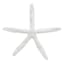 White Star Fish, 8"