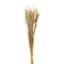 Light Brown Barley Bundle, 26"