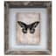 Brown Weathered Floating Wall Frame, 13x15