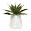 Agave with Marbled Planter, 18"