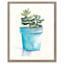 Glass Framed Potted Succulent Wall Art, 17x21