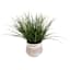 Greenery Plant with White Ceramic Planter, 18"