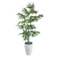 Tropical Leaf Plant with White Planter, 6.5'