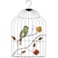 Metal Hanging Birdcage Wall Art, 13x23