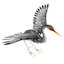 Grey Metal Water Crane Outdoor Garden Statue, 28"