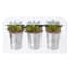 Set of 3 Faux Succulent in Tin Pot