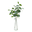 Eucalyptus Water Garden in Vase, 20"