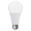 15W A21 Frosted LED 3-Way Bulb