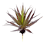 Green & Purple Aloe Pick, 7"