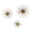 3-Piece Gold Urchin Wall Art Set, 6"/8"/10"