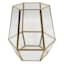 Glass Frame Terrarium, 7.5"