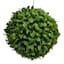 Green Boxwood Ball, 6"