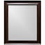 Sophia Mocha Framed Rectangle Wall Mirror, 21x25