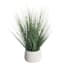 Onion Grass Plant with Cement Planter, 16"