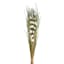 Natural & Green Everyday Bouquet, 36"