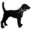 Dog with Bow Wooden Wall Art, 10x8