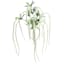 Amaranthus Hanging Bush, 32"
