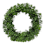 Boxwood Wreath, 16"
