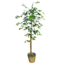 Ficus Tree with Basket Planter, 78"