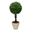 Boxwood Ball Topiary Plant in White Planter, 17"