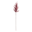 Dark Pink Pampas Grass Stem, 36"