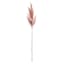 Light Pink Pampas Grass Stem, 32"