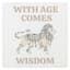 With Age Comes Wisdom Canvas Wall Sign, 4x14