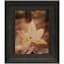 Dark Walnut Tabletop Picture Frame, 8x10