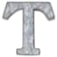 12" Galvanized Metal Monogram Wall Art, T