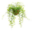 Button Leaf Plant with Brown Planter, 9"