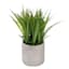 Grass Plant with Grey Planter, 8"