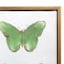 Framed Assortment Of Butterflies Textured Canvas Wall Art, 16"