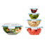 10-Piece Glass Salad Bowl with Locking Lid