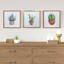 13X13 Prickly Pear Cactus Framed Canvas Art