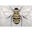 Gold Bumble Bee Textured Canvas Wall Art, 14"