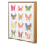 Framed Assortment of Butterflies Textured Canvas Wall Art, 16"