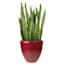 Chrome Red Thick Wall Egg-Shaped Planter, 17"
