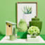 Glass Framed Potted Succulent Wall Art, 17x21