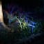 20-Lumen Solar Black Spotlight