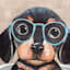 Tea Cup Pup Canvas Wall Art, 12"