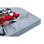 Miles Morales Spiderman Canvas Wall Art, 11x14
