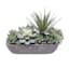 Mixed Succulents in Grey Planter, 9"