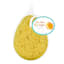 Shower Sponge