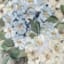 Honeybloom Floral Canvas Wall Art, 16x20