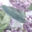 Grace Mitchell Framed Purple Flowers Canvas Wall Art, 16"